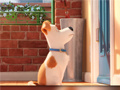 Joc Hidden Letters in The Secret Life of Pets