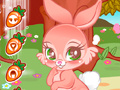 Joc Cute Bunny