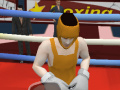 Joc Summer Sports: Boxing