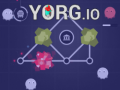 Joc Yorg.io