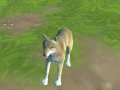 Joc Wolf Simulator