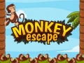Joc Monkey Escape