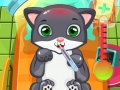 Joc Cat Doctor