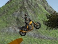 Joc Dirt Bike Rider