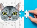 Joc Abyssinian Puzzle Challenge