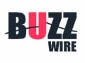 Joc Buzz Wire