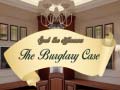 Joc Spot The Differences The Burglary Case