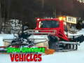 Joc Snow Groomer Vehicles