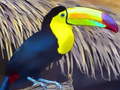 Joc Toucan Bird Jigsaw