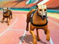 Joc Dogs3D Races