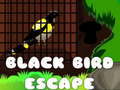 Joc Black Bird Escape