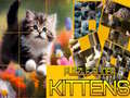 Joc Puzzle Sliding Kittens