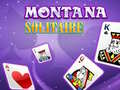 Joc Montana Solitaire