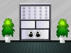 Joc White House Escape