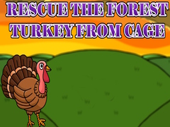 Joc Rescue the Forest Turkey from Cage
