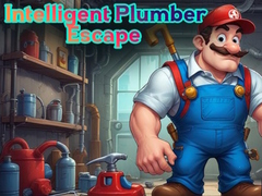Joc Intelligent Plumber Escape