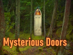 Joc Mysterious Doors