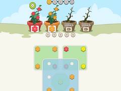 Joc Flower Collection