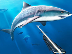 Joc Hunting Underwater Spearfishing