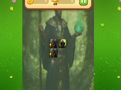 Joc Nature Druid Memory Match