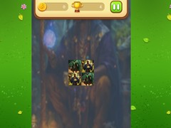 Joc Magic Druid Memory Match