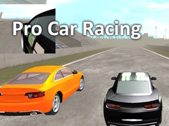 Joc Pro Car Racing