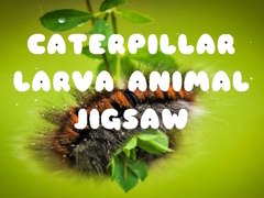 Joc Caterpillar Larva Animal Jigsaw