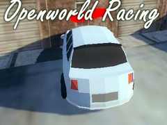 Joc Openworld Racing