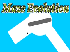 Joc Maze Evolution