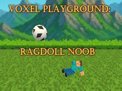 Joc Voxel Playground: Ragdoll Noob
