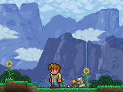 Joc Terraria Playground