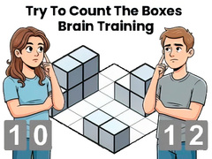 Joc Try To Count The Boxes Brain Training