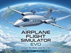 Joc Airplane Flight Simulator EVO