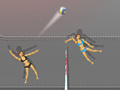 Joc Ragdoll Volleyball