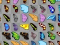 Joc Butterfly kyodai