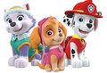 Jocuri PAW Patrol 